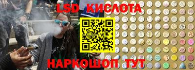 дмт Аргун