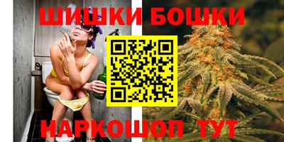 дмт Аргун