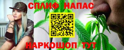 дмт Аргун