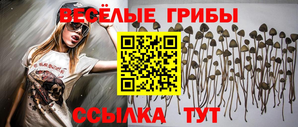 Владивосток  Кокаин  Мефедрон   ГАШ  Вход с VPN  Марихуана  Лсд 25 
