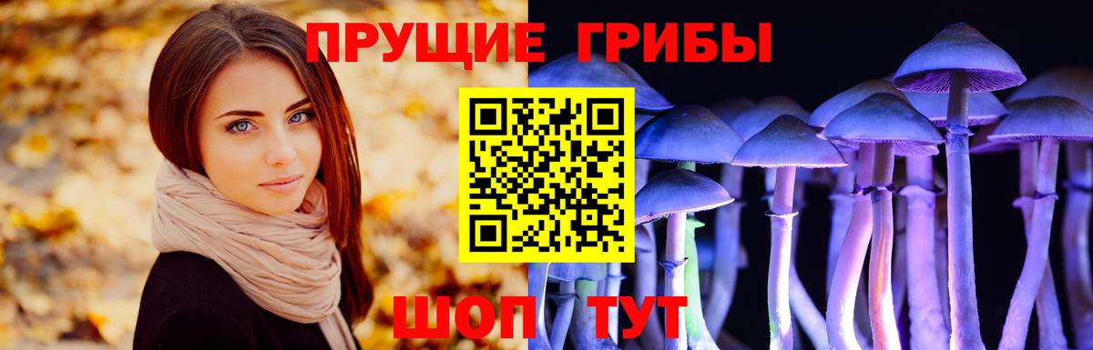 Псилоцибиновые грибы мицелий  Вход с VPN  Владивосток 